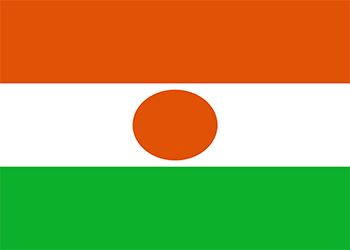 Élection présidentielle 2016 au Niger