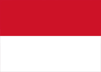 Urne pour les élections en Indonésie de 2021